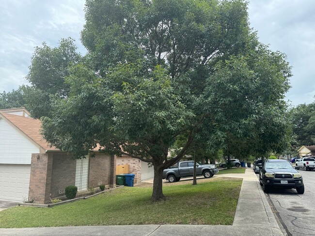 Foto del edificio - QUIET STREET  |  GROWN TREES  |  JUST PAIN...