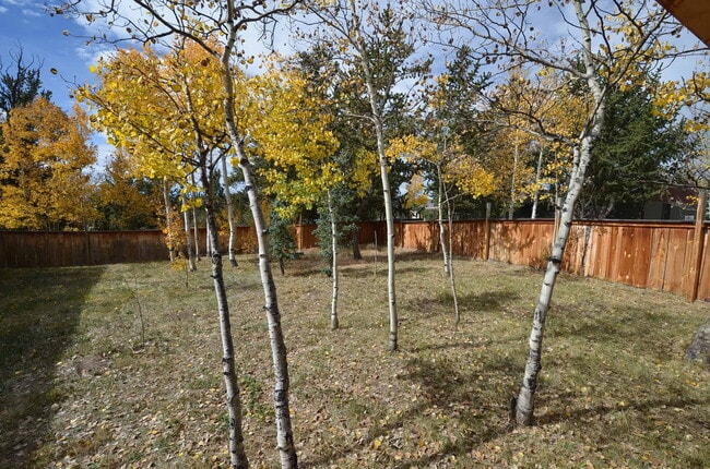 Building Photo - Fairplay home available 11/1/25- large fen...
