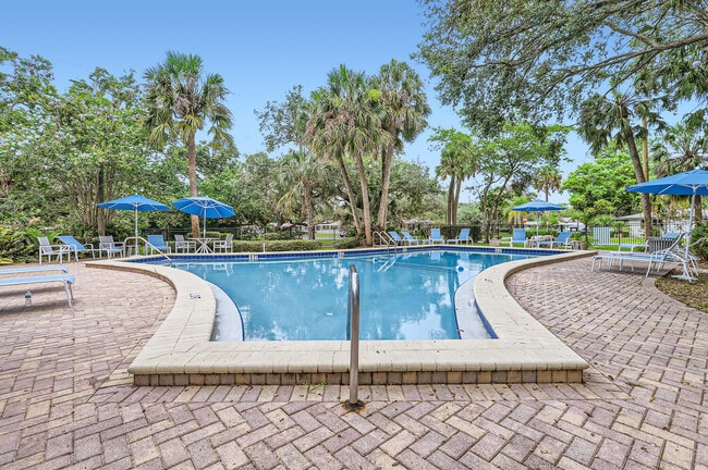 Pool - Ayla Apartments