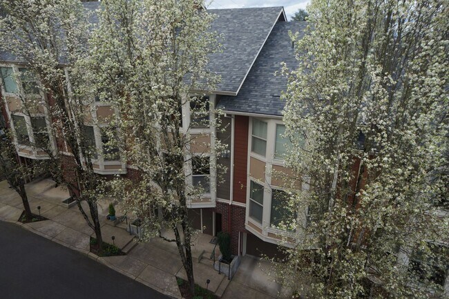 Building Photo - S. Corbett Beautiful two bedroom condo wit...
