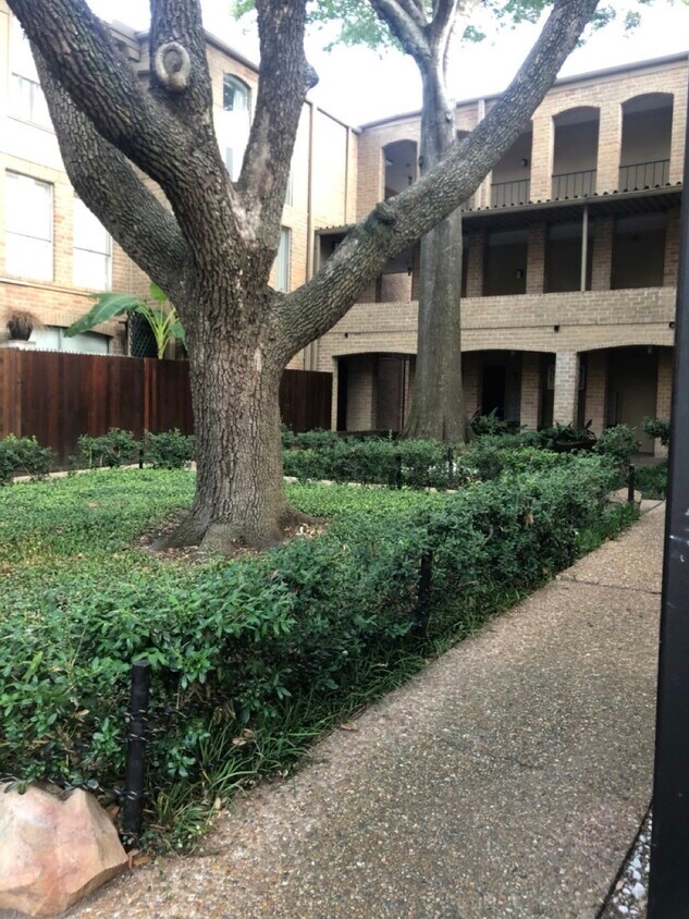 Foto principal - 4641 Wild Indigo St