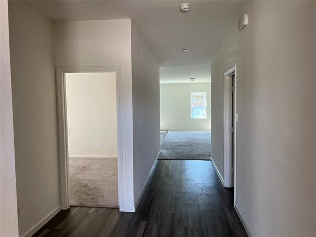 Foto del edificio - 10304 Rosegreen Ln