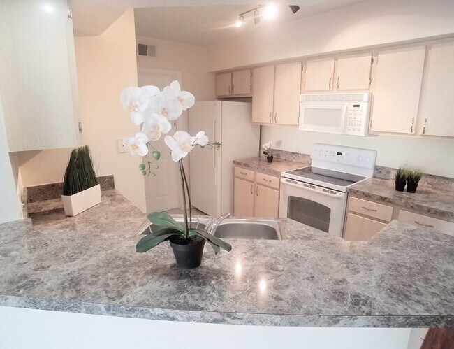 Photo - Gorgeous 2/2 Wood Floors Condo For Rent @ ...