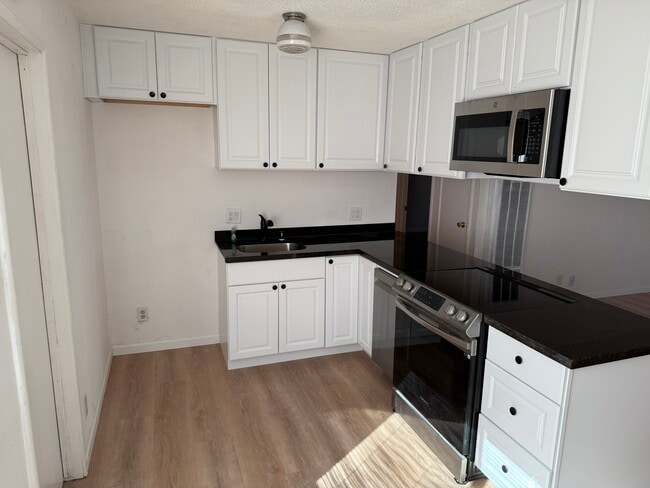 New cabinets, new granite countertop, new microwave and new dishwasher. - 1101 S Ham Ln