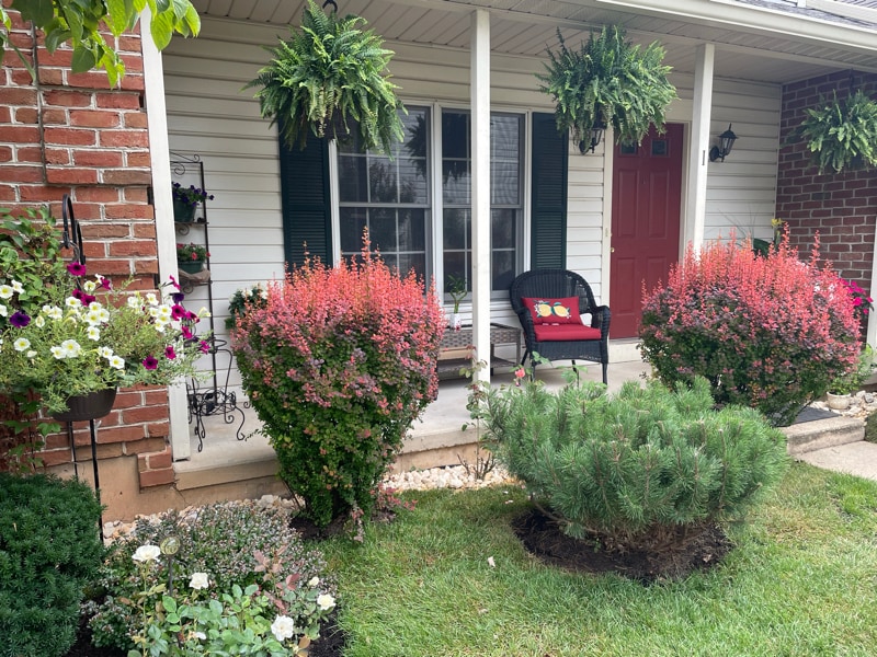 Foto principal - 2039 Raleigh Rd
