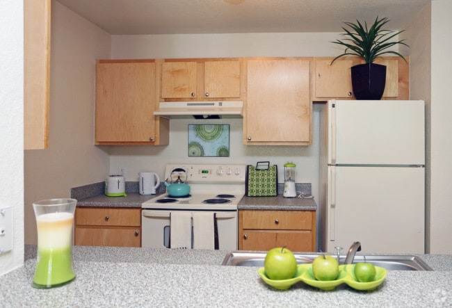 3 BD 2 BA Kitchen - Hawk's Landing Apartments