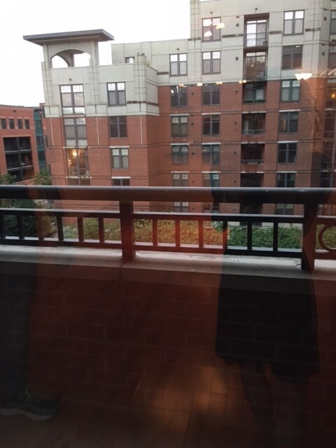 balcony view - 1021 N Garfield St