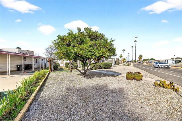 Foto del edificio - 893 S Palm Ave