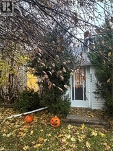 Building Photo - 272 Main St