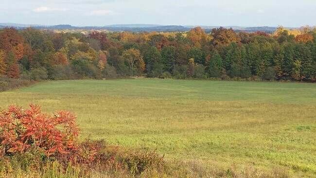 Vistas - 540 Hoagerburgh Rd