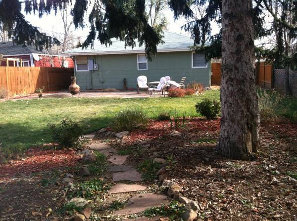 Backyard from garage - 1179 Willow Street