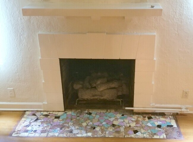 Working Gas Fireplace - 326 E Mistletoe Ave