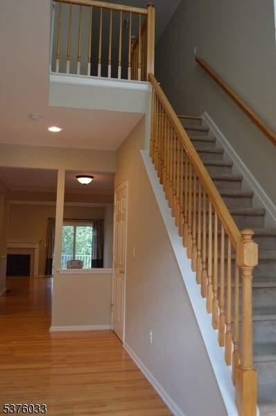 Foto del edificio - 51 Autumn Ridge Rd