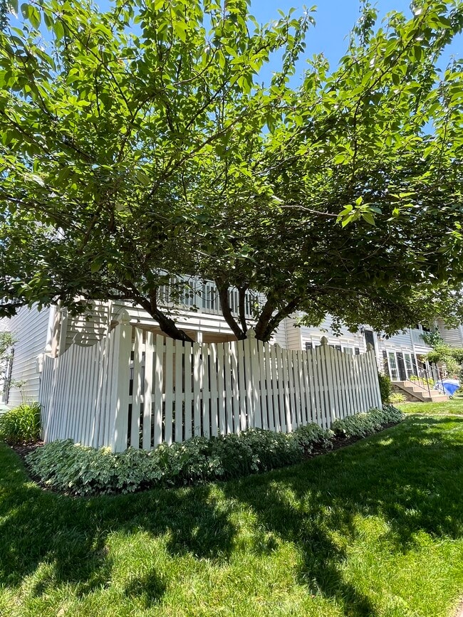 Building Photo - 10213 Willow Mist Ct