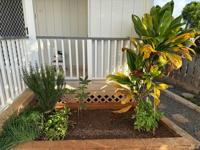 Zona de jardinería con tierra recién labrada - 1871 Halekoa Dr