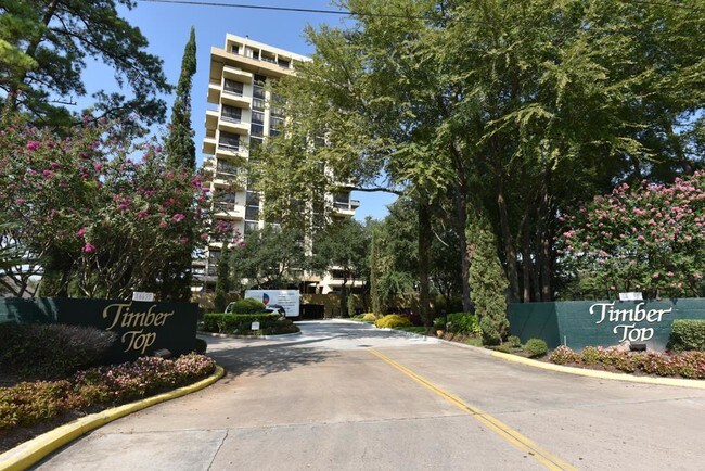 Building Photo - 14655 Champion Forest Dr