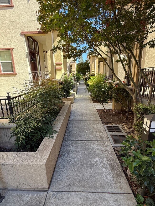 Foto del edificio - $4,600 / Beautiful 3BR + Bonus Room / 2.5BA Single-Family Home in Warm Springs, Fremont