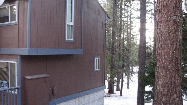 Foto del edificio - 1410 Ski Run Blvd