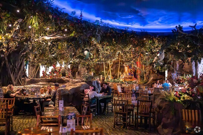 Rainforest Cafe at Gurnee Mills is a fun restaurant stop, a quick drive from Gages Lake.
