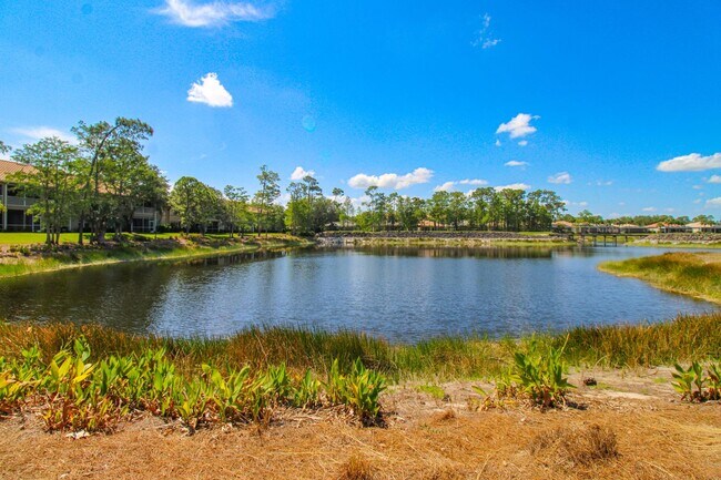 Foto del edificio - ** GOLF ENTHUSIASTS?  ** BUNDLED GOLF ** VANDERBILT COUNTRY CLUB BUNDLED GOLF TRANSFER TO THIS BE...