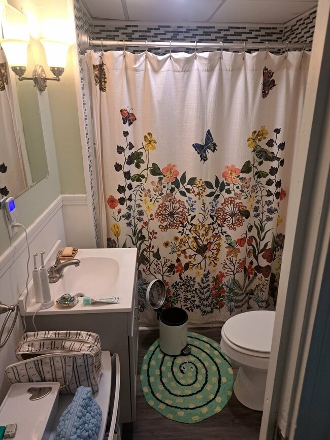 bathroom - 377 Pearl St