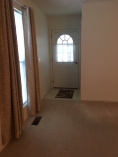 Foto del edificio - 2919 Bluff Ridge Dr