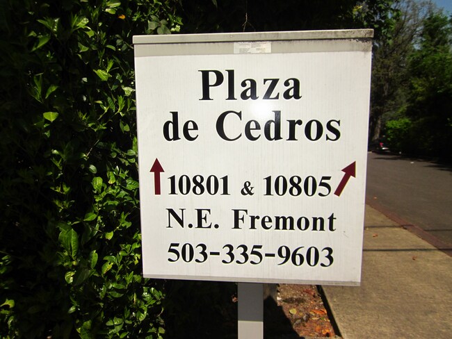 Foto del edificio - Plaza de Cedro