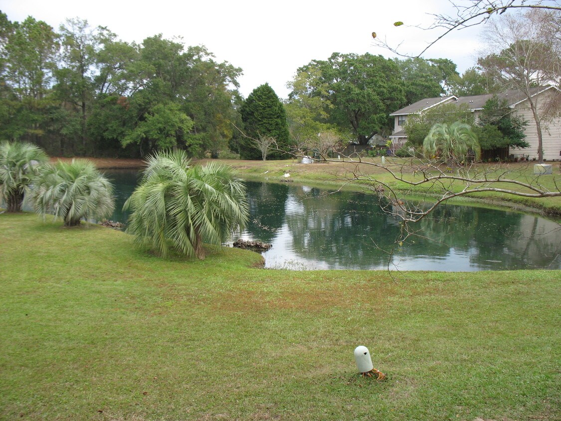 View of pond from back deck - 1162 Julian Clark Rd