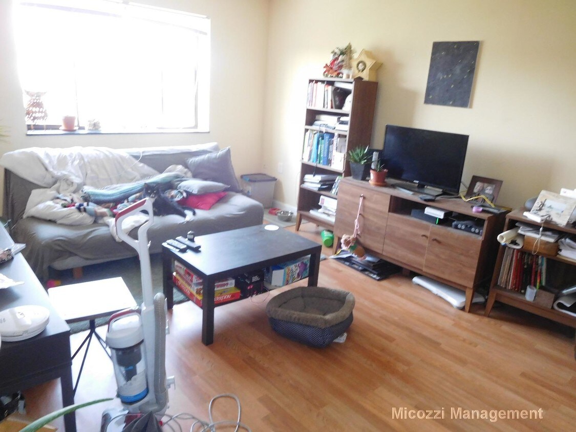 12 Cottage Ct Unit 111MM, Newton, MA 02458 Condo for Rent in Newton