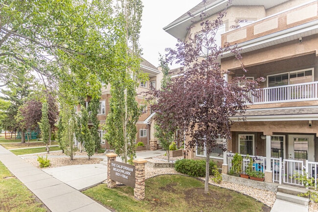The Californian Meadowlark