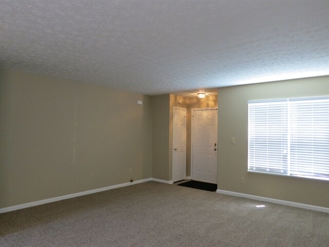 Building Photo - 13920 Bruddy Dr