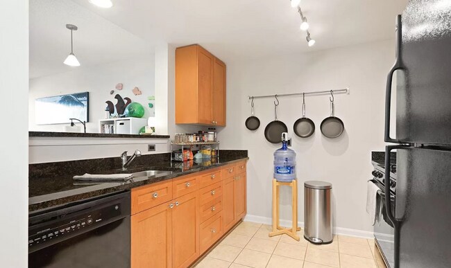 Foto del edificio - Sunny 1br condo in Downtown Silver Spring.