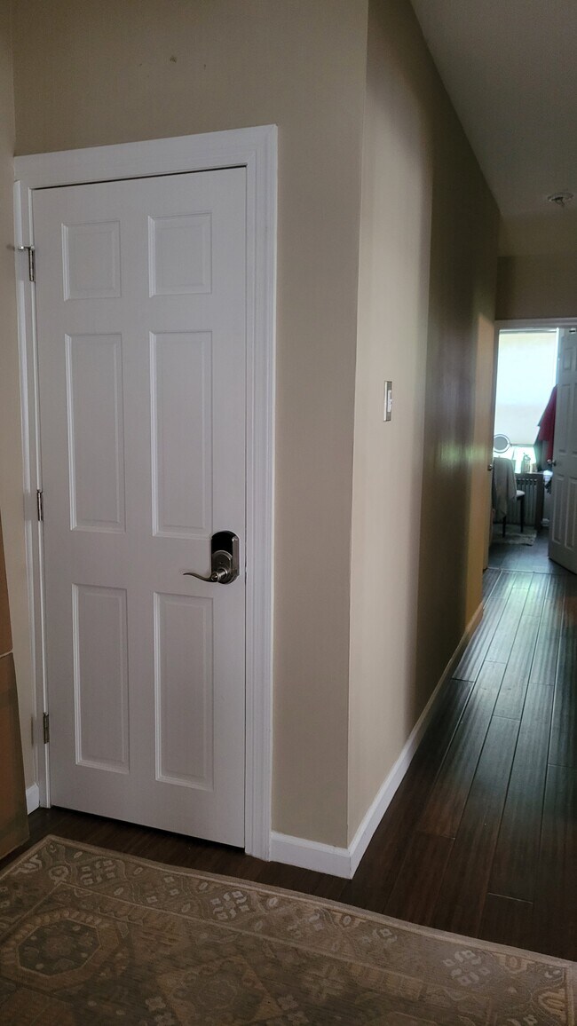 2nd floor access door - 713 Centre St