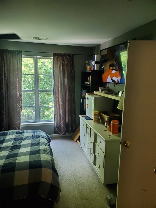 Master Bedroom - 18045 Royal Bonnet Cir