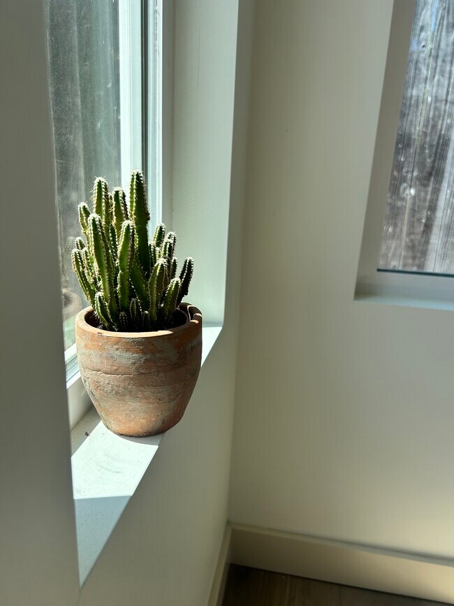 Foto del edificio - 7822 Toland Ave