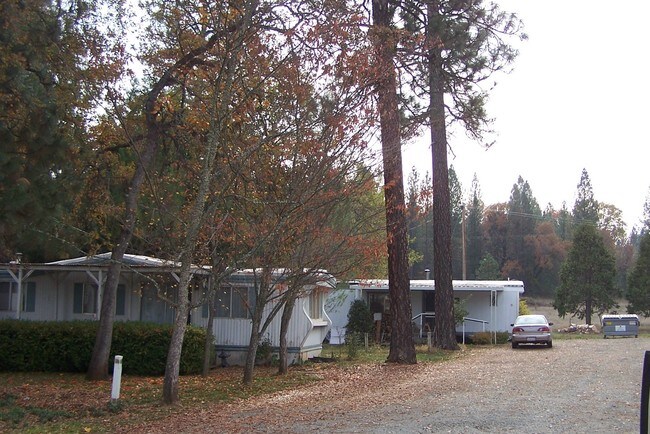 Foto del edificio - 9372 Rices Texas Hill Rd