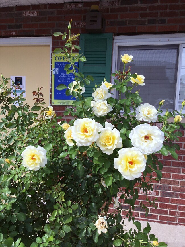 Sunflower II Apartments in Bloomington, IN