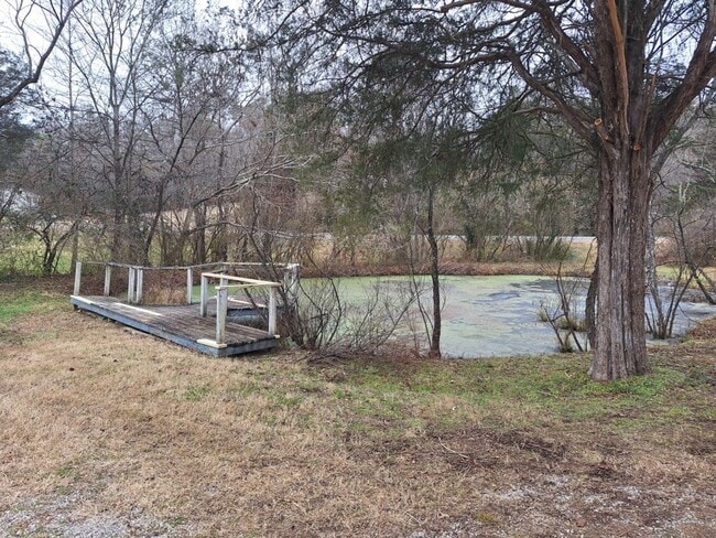 Building Photo - Country Living at its Best!!