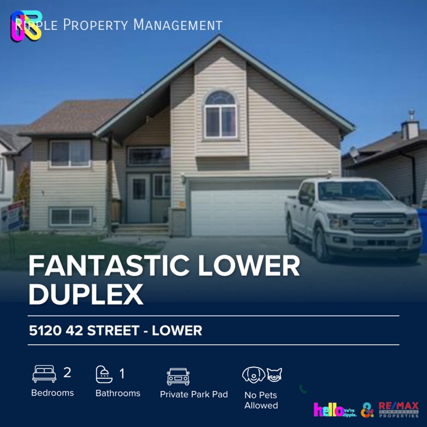 Primary Photo - FANTASTIC 2 BEDS/ 1 BATHS LOWER DUPLEX