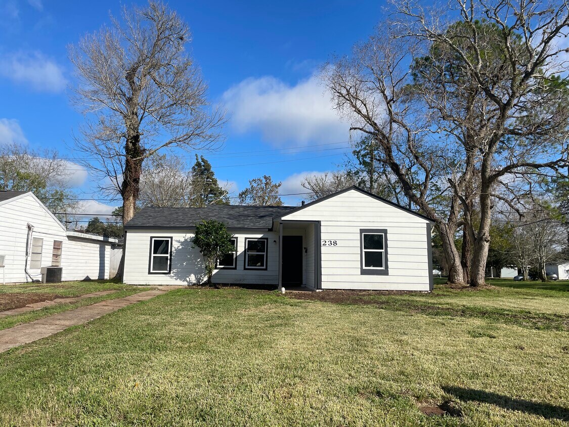 238 Birch St, Lake Jackson, TX 77566 House Rental in Lake Jackson, TX