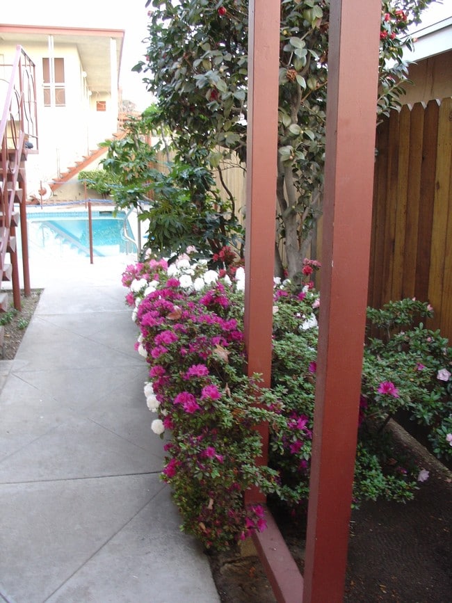 Building Photo - 5926 Camellia Ave