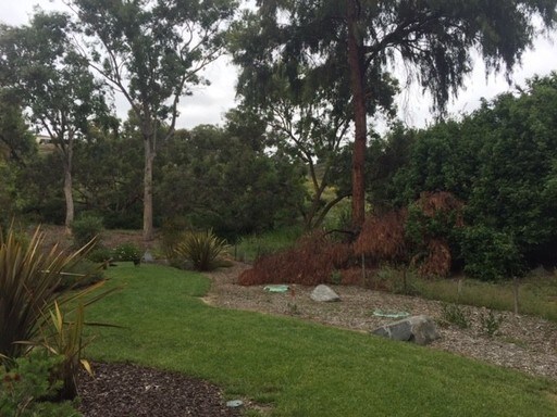 Foto del edificio - Three Bedroom Home in South Park!