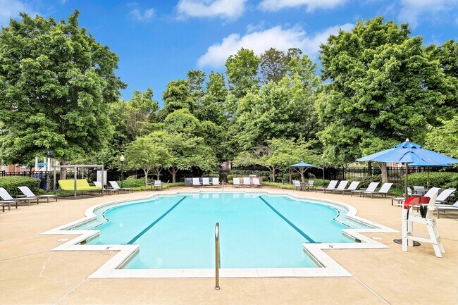 Piscina estilo resort con terraza para tomar el sol - Annapolis Bay