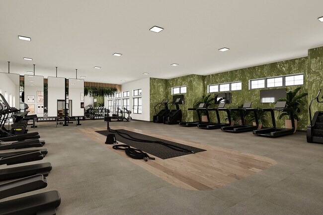 13-Gimnasio2 - The Doce