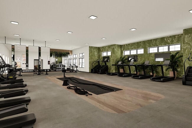 13-Gym2 - The Doce
