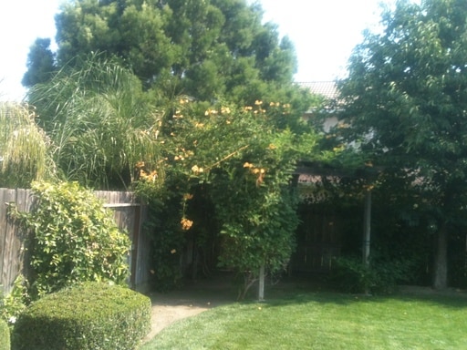 Building Photo - 2424 Sorrel Dr