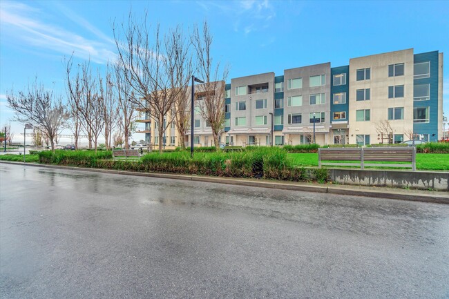 Building Photo - 52 Innes Ct