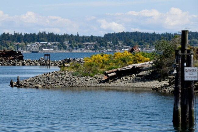 Nature landscape at the Courtenay estuary during low tide, Vancouver Island British Columbia.