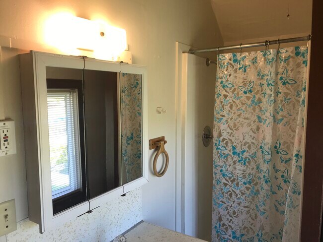 Bathroom - 930 Billy Frank Jr St