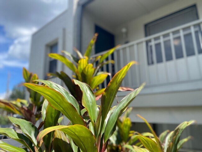 Building Photo - MOVE-IN SPECIAL - $500 CREDIT! 1BD/1BA Apa...